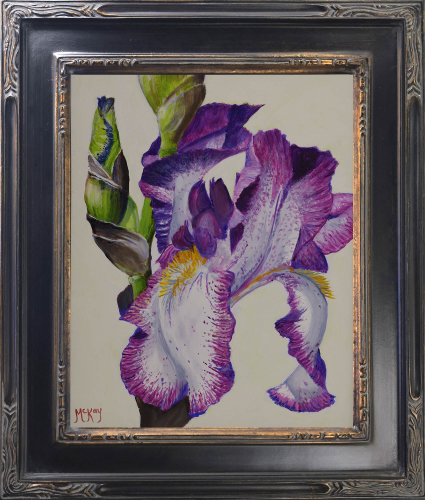 Click to view detail for Blooming Iris 10x8 $500